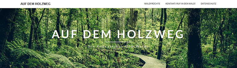 Der Podcast „Auf dem Holzweg“ berichtet aus dem Wald. | Illustration: Screenshot