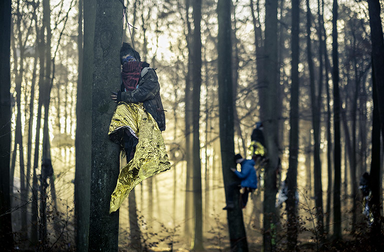 Die „Swing Force“ im Dannenröder Forst im November: Aktivistinnen und Aktivisten haben sich in den Bäumen angeseilt. |